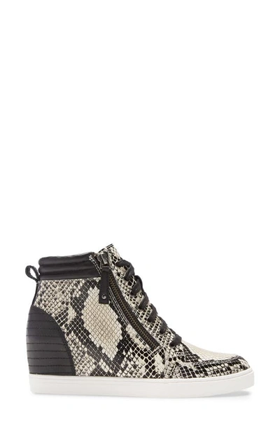 Linea Paolo Niya Wedge Sneaker In Cream Snake Print Leather