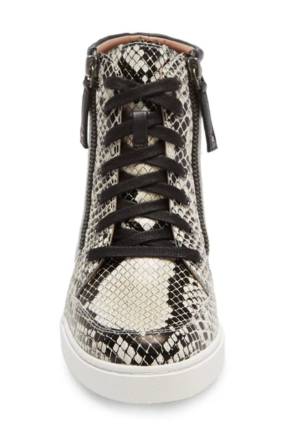 Linea Paolo Niya Wedge Sneaker In Cream Snake Print Leather