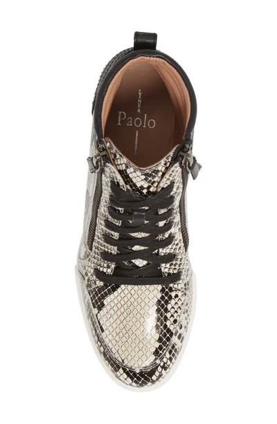 Linea Paolo Niya Wedge Sneaker In Cream Snake Print Leather