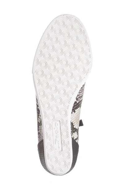 Linea Paolo Niya Wedge Sneaker In Cream Snake Print Leather