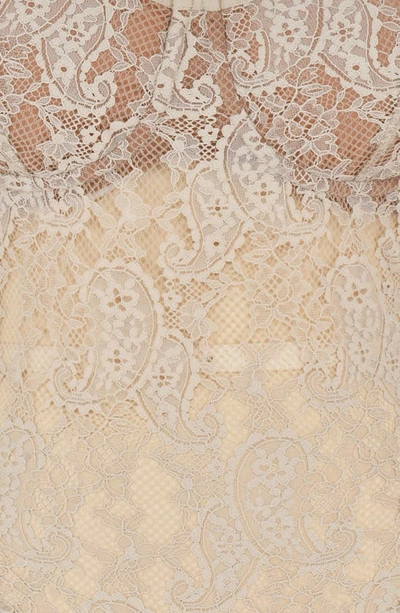 House Of Cb Fernanda Semisheer Crop Lace Camisole In Cream