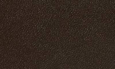 Comme Des Garçons Classic Leather Zip Accordion Wallet In Brown