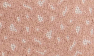 Shop Hanky Panky X-dye Leopard Print Retro Lace Vikini In Desert Rose/ White