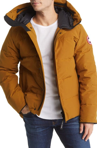 Shop Canada Goose Macmillan Water Repellent 625 Fill Power Down Parka In Klondike Gold