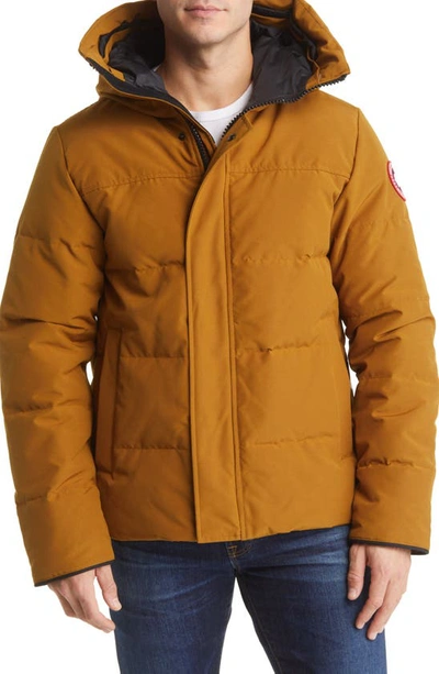 Shop Canada Goose Macmillan Water Repellent 625 Fill Power Down Parka In Klondike Gold