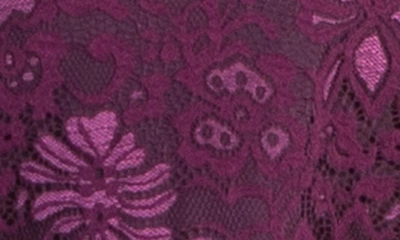 Kiyonna Mademoiselle Lace A-line Dress In Berry Bliss