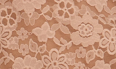 Hanky Panky Daily Lace Sheer Camisole In Taupe