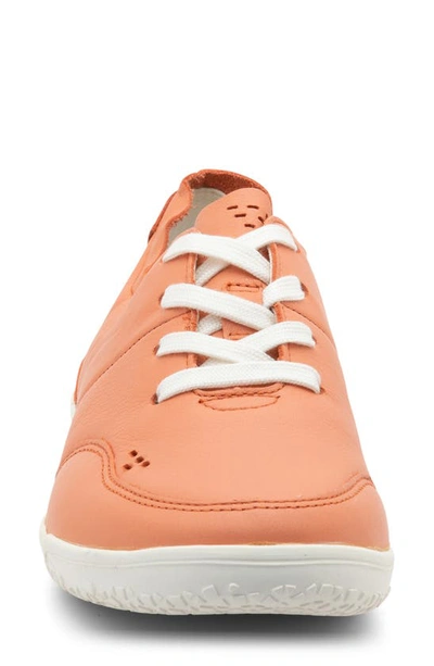Shop Ara Nyomi Sneaker In Peach
