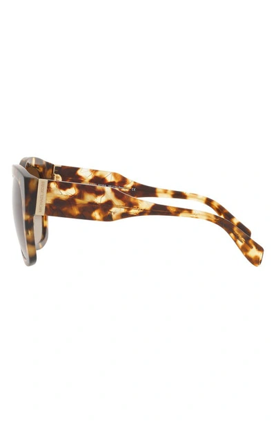 Shop Michael Kors Baja 56mm Gradient Square Sunglasses In Tort