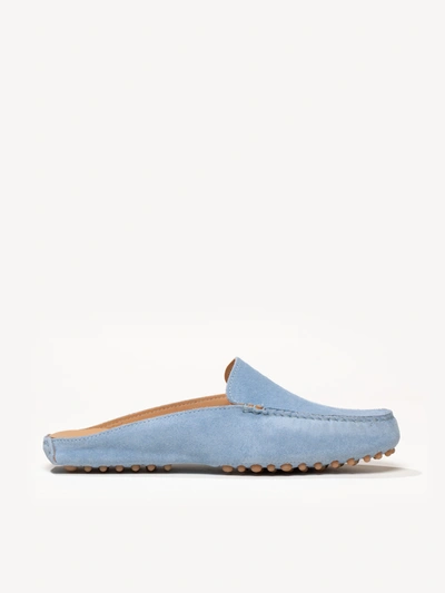 M. Gemi The Felize Mule In Blue Rain