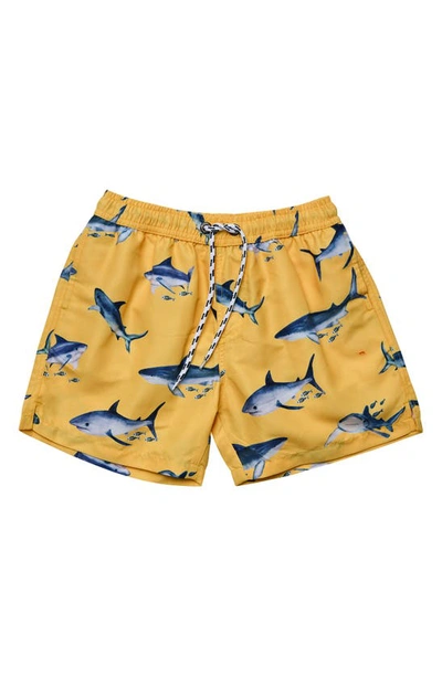 Shop Snapper Rock Sunrise Shark Volley Board Shorts In Yellow