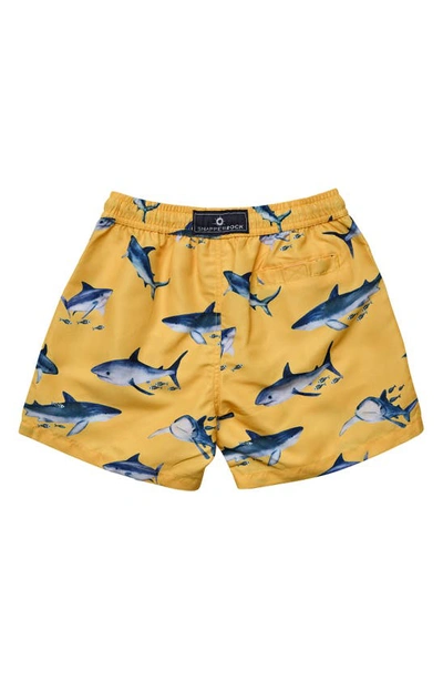 Shop Snapper Rock Sunrise Shark Volley Board Shorts In Yellow
