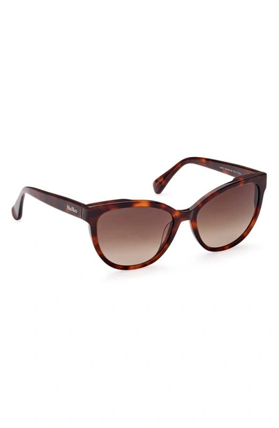 Shop Max Mara 57mm Round Sunglasses In Dark Havana / Gradient Brown