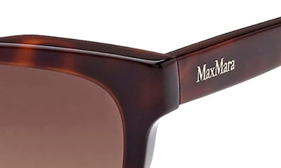 Shop Max Mara 57mm Round Sunglasses In Dark Havana / Gradient Brown