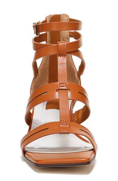 Shop Franco Sarto Korie Gladiator Sandal In Brown