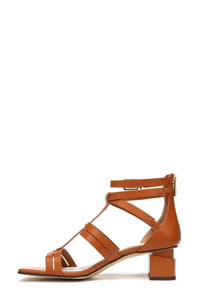 Shop Franco Sarto Korie Gladiator Sandal In Brown