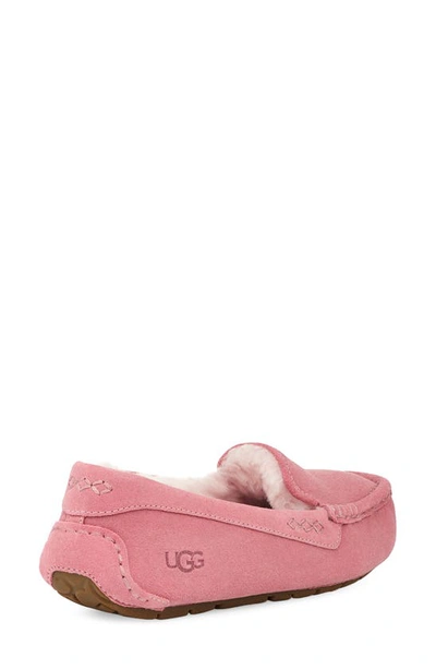 Shop Ugg Ansley Water Resistant Slipper In Horizon Pink