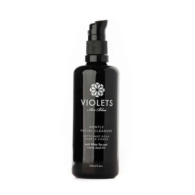 Shop Violets Are Blue Gentle Cleanser With White Tea And Carrot Seed