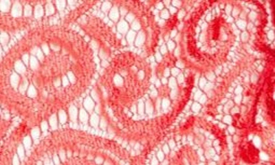 Roma Confidential Lace Crotchless Teddy In Red