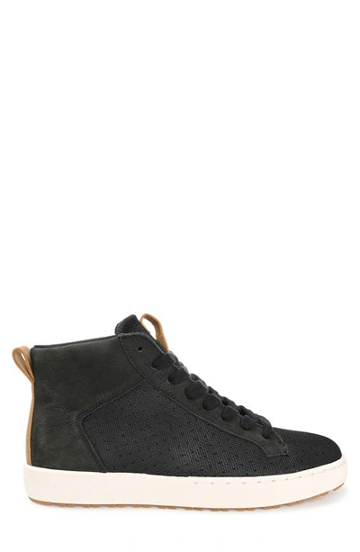 Shop Territory Boots Carlsbad High Top Sneaker In Black