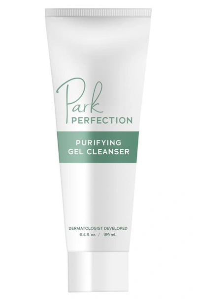 Shop Park Perfection Purifying Gel Facial Cleanser