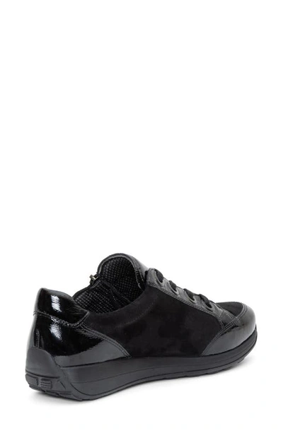 Ara Ollie Lace-up Sneaker In Black