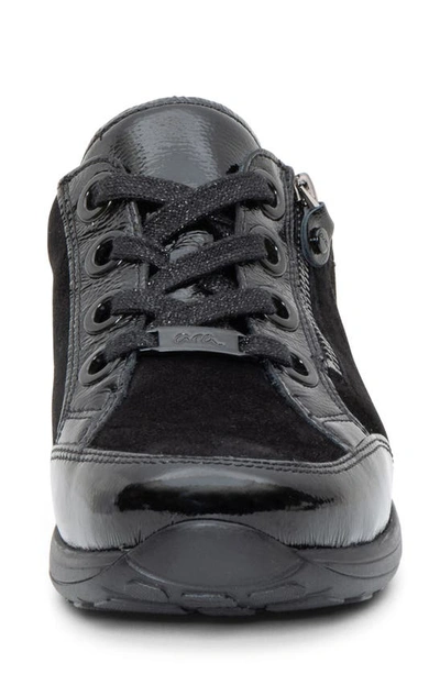 Ara Ollie Lace-up Sneaker In Black
