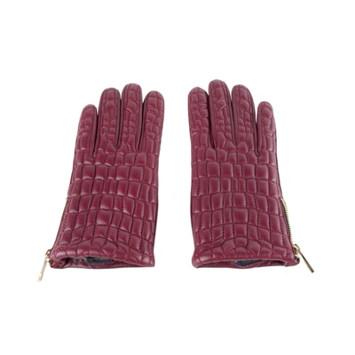Shop Cavalli Class Glove In Red
