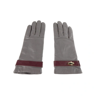 Shop Cavalli Class Grey Lamb Leather Gloves