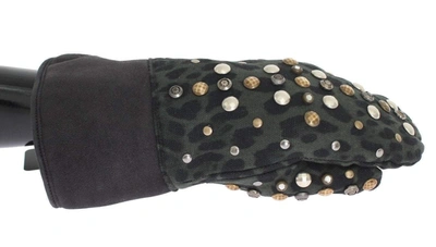 Dolce & Gabbana Gray Wool Shearling Studded Green Leopard Gloves In Gray