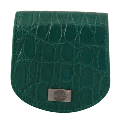 Shop Dolce & Gabbana Green Exotic Skins Condom Case Holder Wallet