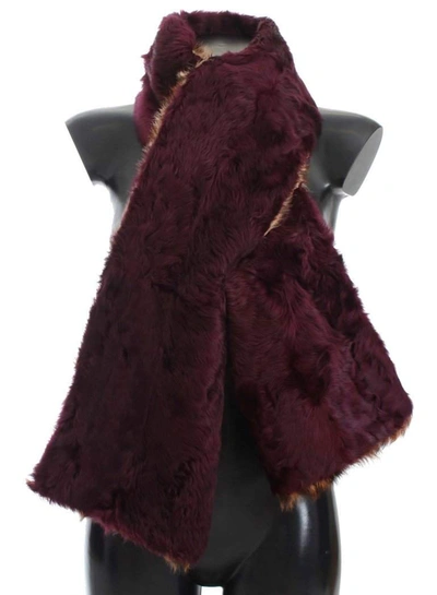Shop Dolce & Gabbana Purple Lamb Fur Leopard Print Scarf