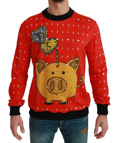 Dolce & Gabbana Red Crystal Pig Of The Year Sweater In Red