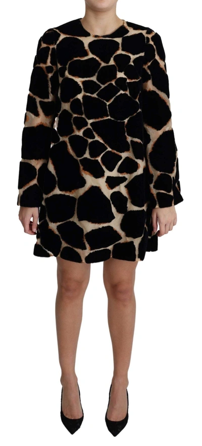 Shop Dolce & Gabbana Black Giraffe Print Shift Mini Dress