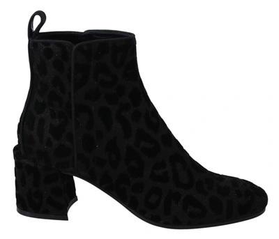 Shop Dolce & Gabbana Black Leopard Short Boots Zipper Shoes