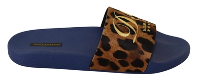 Shop Dolce & Gabbana Blue Brown Leopard Logo Rubber Slides Slippers Shoes