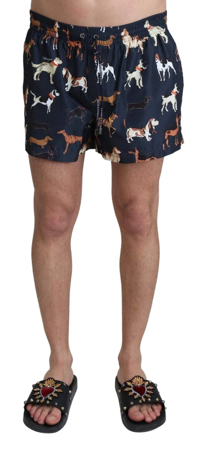 Shop Dolce & Gabbana Blue Dog Print Beachwear Shorts Men Swimwear
