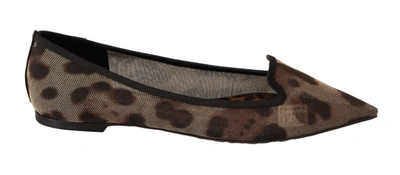 Shop Dolce & Gabbana Brown Leopard Ballerina Flat Loafers Shoes