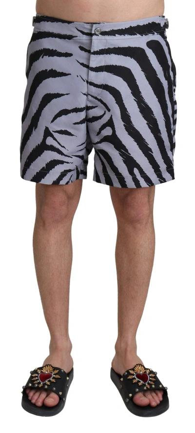 Shop Dolce & Gabbana Gray Zebra Print Beachwear Shorts