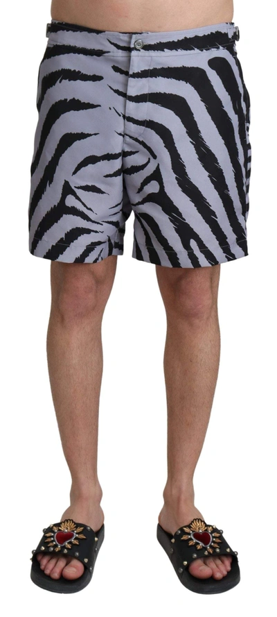 Dolce & Gabbana Gray Zebra Print Beachwear Shorts In Gray