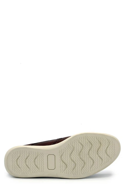 Aston Marc Ardon Wingtip Sneaker In Brown