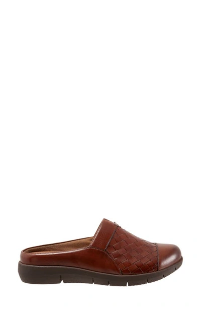 Softwalk San Marcos Ii Clog In Rust