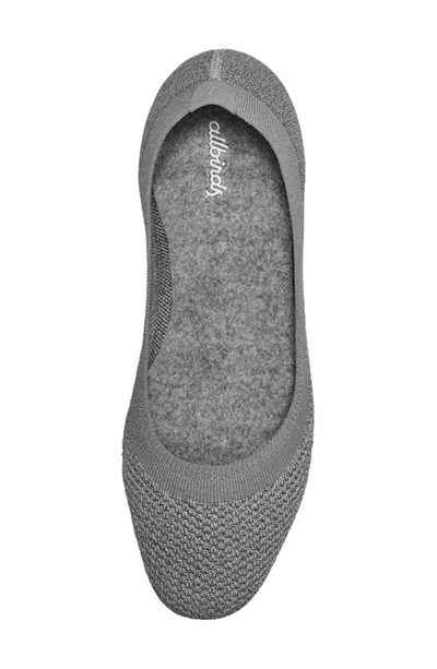 Shop Allbirds Tree Breezer Ballet Flat In Mist