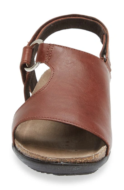 Shop Naot Olivia Sandal In Chestnut Leather