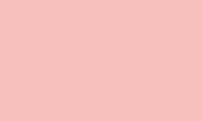 Shop Logo Brands Chicago Bears 20oz. Fashion Color Tumbler In Light Pink