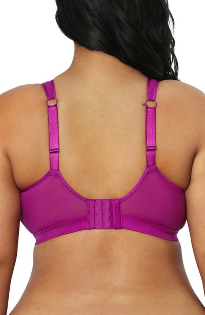Shop Curvy Couture Sheer Mesh Crop Bralette In Cosmo Pink