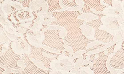 Hanky Panky French Briefs In Chai