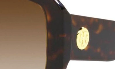 Tory Burch 52mm Gradient Butterfly Sunglasses In Dk Tort