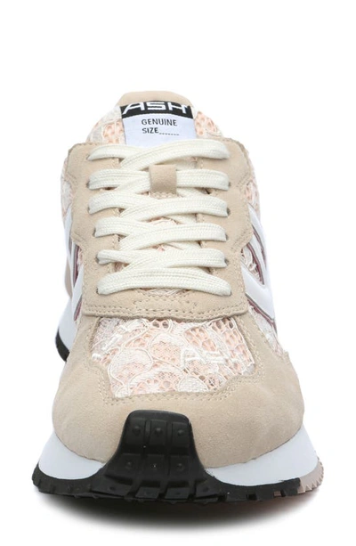 Shop Ash Toxic Lace Sneaker In Eggnog/ Pink Salt