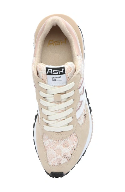 Shop Ash Toxic Lace Sneaker In Eggnog/ Pink Salt